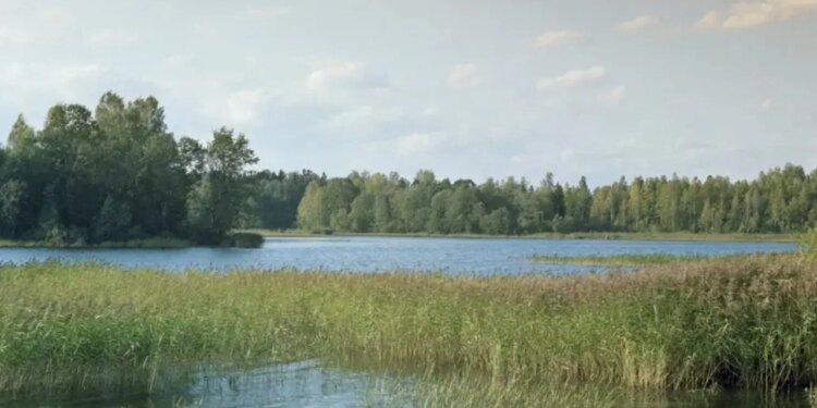 Informacione rreth sulmit të dyshuar ndaj rezidencës së Putinit.