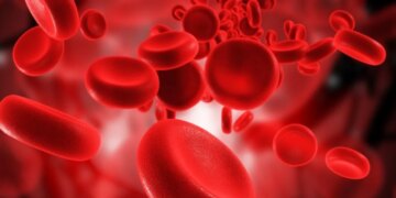 Ja ushqimet e rekomanduara për përmirësimin e qarkullimit të gjakut