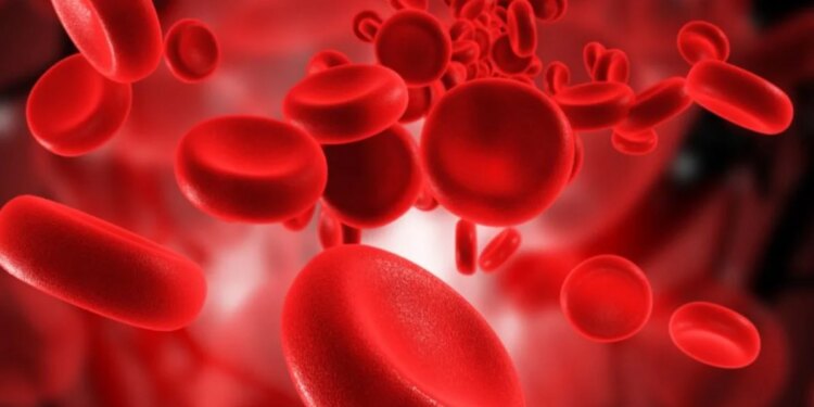 Ja ushqimet e rekomanduara për përmirësimin e qarkullimit të gjakut