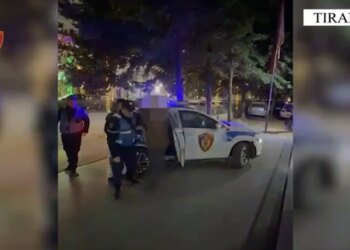 Kapet grupi kriminal që tregtonte armë zjarri në Kamëz; dy anëtarë të bandës janë arrestuar, ndërsa një tjetër është në kërkim.