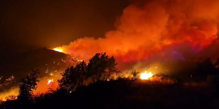 Kompensimi për dëmet nga zjarri ka nisur, Ministria e Mbrojtjes njofton se janë alokuar 191.5 milionë lekë për 10 bashki.