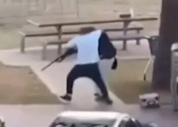 Miliarderi ofron 65 mijë dollarë për heroin e Bondi Beach, gjersa i merr armën autorit.