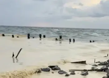 Ndotja nga nafta e lulediellit në Detin e Zi pas ofensivave ruse në Odessa