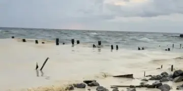 Ndotja nga nafta e lulediellit në Detin e Zi pas ofensivave ruse në Odessa