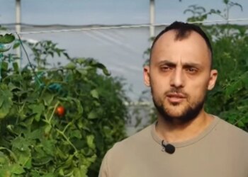 Në serën me 70 varietete domatesh, 27-vjeçari po përzien shije të reja: Kemi qëllim të analizojmë tregun dhe...