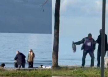 Ngjarje e pazakontë në Vlorë: i moshuari goditet nga qentë endacakë