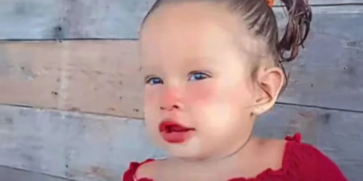 Një ngjarje e trishtë në Brazil: Një vajzë 2-vjeçare humb jetën pas rënies në lumë dhe sulmit nga piranjat.