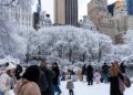 Nju Jorku mbulohet nga dëbora, pamje dhe video nga Central Park.