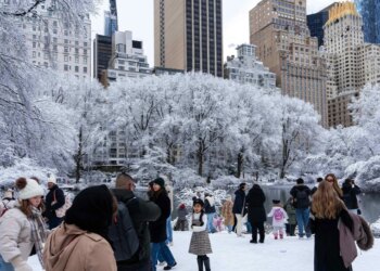 Nju Jorku mbulohet nga dëbora, pamje dhe video nga Central Park.
