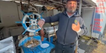 Peshku luan shfaqet përsëri afër Karaburunit, kërcënim për popullatën dhe mjedisin.