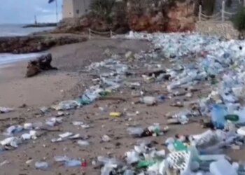 “Plehrat nga Velipoja arrijnë në Kroaci përmes detit/ Lumi transporton mbetje në bregdet, dallgët i dërgojnë në plazhet kroate”