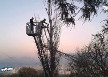 Plepat e rrezikshëm në Yzberisht: 7 vite shqetësimi, pa inspekte, zgjidhje vetëm përmes Fiks Fare