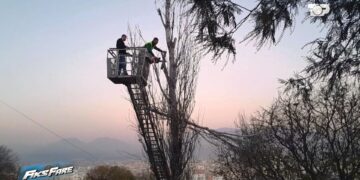 Plepat e rrezikshëm në Yzberisht: 7 vite shqetësimi, pa inspekte, zgjidhje vetëm përmes Fiks Fare