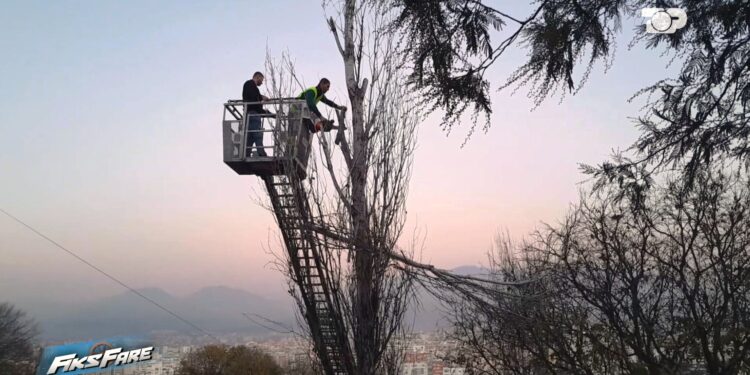 Plepat e rrezikshëm në Yzberisht: 7 vite shqetësimi, pa inspekte, zgjidhje vetëm përmes Fiks Fare