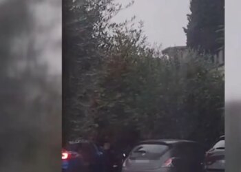 Policia ndalon bandën shqiptare të hajdutëve në Verona, arrestohen katër të rinj.