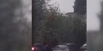 Policia ndalon bandën shqiptare të hajdutëve në Verona, arrestohen katër të rinj.