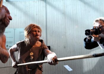 Si zbulimi i Neandertalit të parë ndryshoi dhe ripërcaktoi historinë e njerëzimit