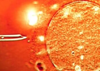 Skanadal i papritur: Në Europë është përdorur spermë nga dhurues me kancer, përfshirë Shqipërinë