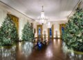 “Ta ndajmë me botën dashurinë që ndiejmë brenda vetes,” publikimi i Melania Trump, video nga Shtëpia e Bardhë me dekorime festive.