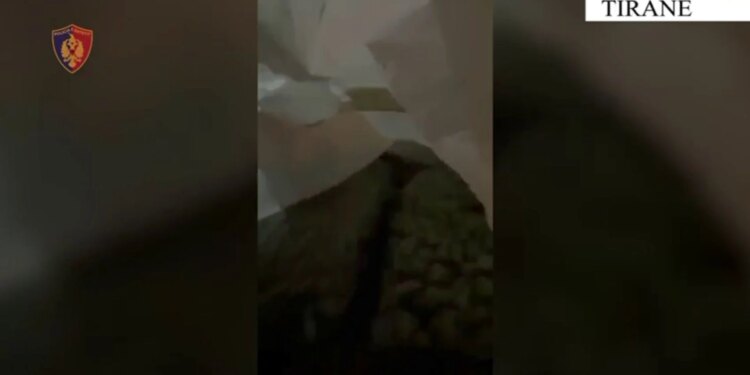 Të arrestohet 23-vjeçari në Tiranë, pasi u zbulua me më shumë se 1 kg kanabis në formë gjelatine, i trafik’igihugu nga Kanadaja.