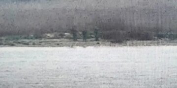 Tre ushtarë rusë hyjnë në territorin e NATO-s pasi kalojnë kufirin në mënyrë të paligjshme në Estoni.