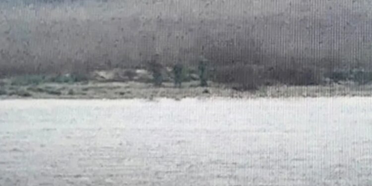 Tre ushtarë rusë hyjnë në territorin e NATO-s pasi kalojnë kufirin në mënyrë të paligjshme në Estoni.