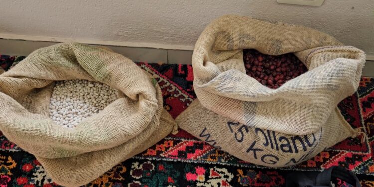 U riktheu Kukësit pas qëndrimit në Angli, i riu që revitalizoi produktet bio të fshatit: Pasuria ndodhet pranë nesh.