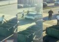 VIDEO/ Heqja e qeseve të mbeturinave jashtë koshit, policia bashkiake e Shkodrës i rikthen ato pas.