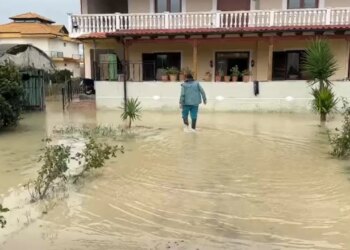 20 apartamente të përmbytura në Novoselë, një banor tregon: Kam pastruar ujin me fshesë gjatë natës, gruaja ime është e paralizuar.