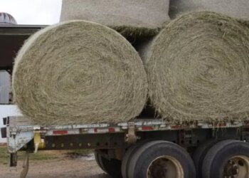 25-vjeçari në Itali humb jetën tragjikisht, duke u bllokuar në makinerinë e grirjes së kashtës.