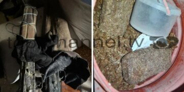 Arma, shpërthyes dhe substanca narkotike/ Informacione nga operacioni i shpejtë në Fier, të ndaluarit janë baba dhe bir.