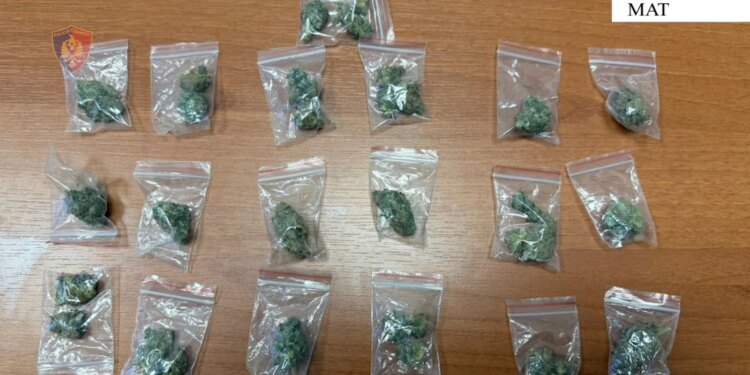 Arrestohet 38-vjeçari në Klos për shpërndarje droge në aktivitetin e tij biznesor.