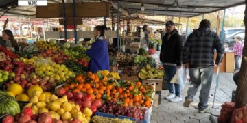 Blerjet e fundvitit bien; ekspertët theksojnë tkurrjen e popullsisë dhe rritjen e kujdesit për shëndetin.