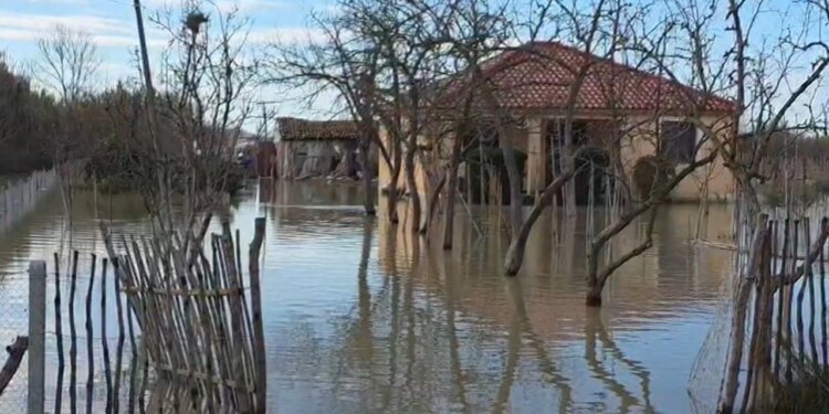 Çahet argjinatura e Semanit, qindra hektarë tokë dhe 20 shtëpi nën ujë, banorët humbasin lidhjet me të afërmit.