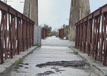 Dalja e lumit Vjosa nga shtrati, niveli i ujit tejkalon urën e vjetër të Mifolit