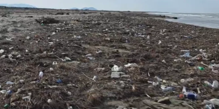 Deti i riciklon mbeturinat, Darëzeza dhe Semani ballafaqohen me ndotje të madhe
