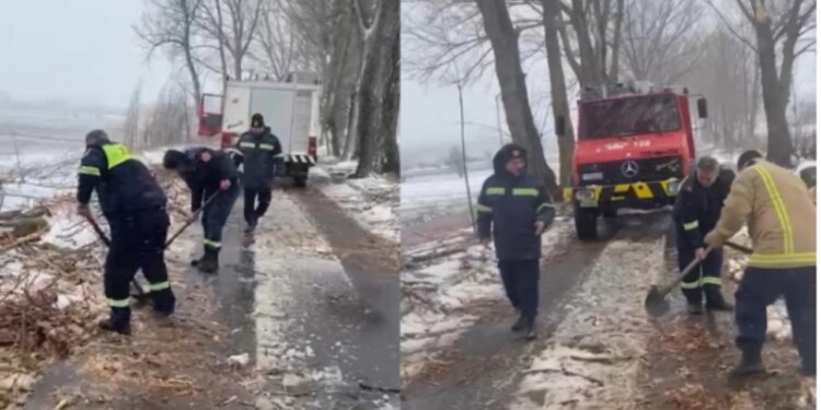 Erë e fortë dhe dëborë në Kolonjë, rrëzohen degët e pemëve në aksin Ersekë-Rehovë, vështirësohet lëvizja e automjeteve.