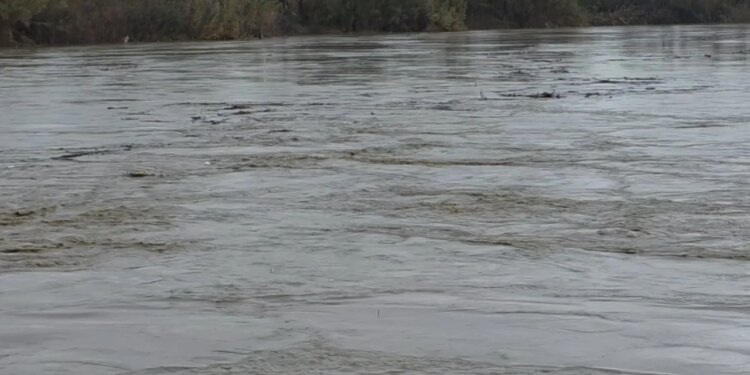 Fier/ Tokat bujqësore vazhdojnë të jenë të përmbytura, prurjet në lumenjtë Seman dhe Shkumbin po shfaqin një rritje të vazhdueshme.