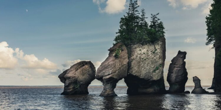 Gjiri i Fundy: Rajoni me baticat më të larta në botë, që shpalos ishuj, balena dhe fosile të moshës 300 milionë vjeçare