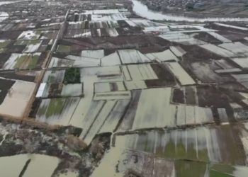 LIVE/ Pamje alarmante nga përmbytjet. Situatë e rëndë në Durrës, bllokohet rruga Gjirokastër - Tepelenë. Protesta në Shkozet, niveli i Drinit dhe Bunës vazhdon të rritet.