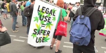 Legalizimi i kanabisit në Gjermani dy vjet më parë, studimi i ri: Rritje e rasteve të psikozave tek të rinjtë