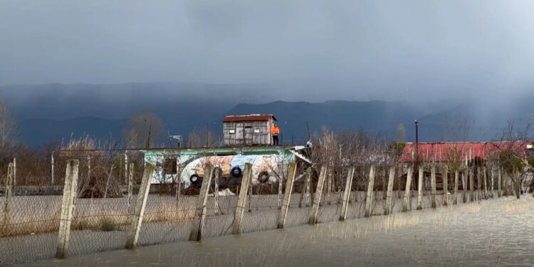 Lezhë nën ujë/ Situatë e vështirë në Kurbin, niveli i ujit rritet në fshatin Adriatik