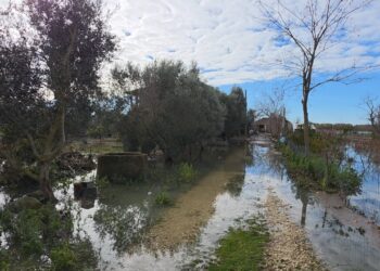 Lumi Seman del nga shtrati, fshati Hasturkas nën ujë, evakuohen 20 familje dhe kërkojnë ndihmë të menjëhershme.
