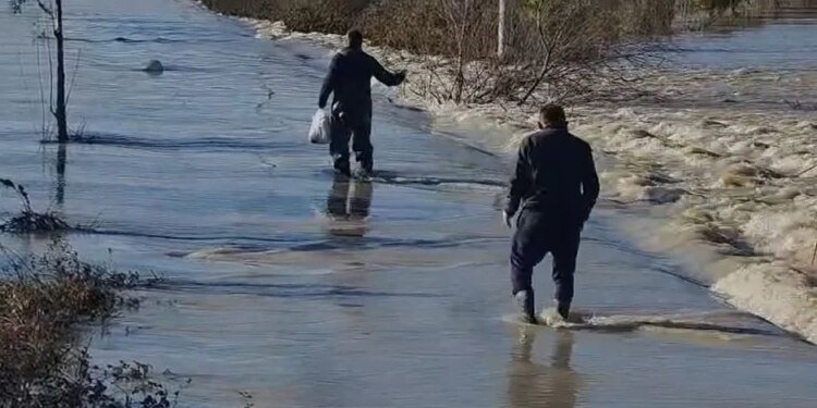 Lumi Seman dhe Shkumbin dalin nga shtrati, 20 shtëpi preken nga përmbytjet.