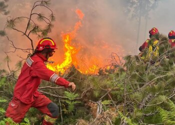 Ministria e Mbrojtjes shpall dëmshpërblime prej 345 milionë lekësh për 15 bashki të prekura nga zjarret verore në vend.