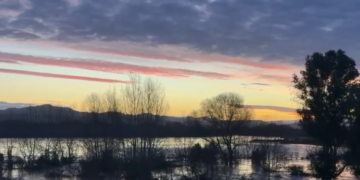 Nis të bjerë niveli i lumit Vjosa/ Situatë problematike në fshatin Bishan, 20 shtëpi të përmbytura