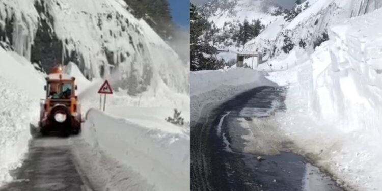 Ortekë të rënë në Qafë Thorë bllokojnë segmentin rrugor, qarkullimi i automjeteve ndërpritet.