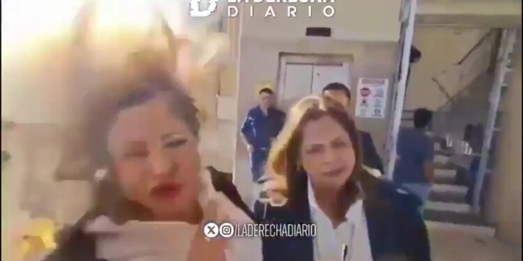 Pamje alarmante: Deputetja sulmohet me eksploziv gjatë një deklarate për mediat (Video)