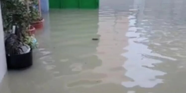 Situatë alarmante në ish-Kënetën e Durrësit, shtëpitë përmbyten nga reshjet, uji mbetet i palëvizur.