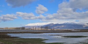 Sovjani i përmbytur në Maliq, dëmet në kulturat e grurit dhe misrit janë të mëdha.
